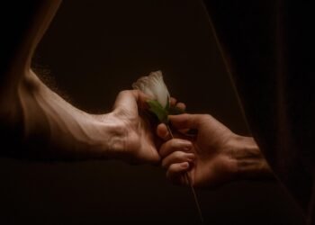 Building Bonds:Exploring the Dynamics of Trust and Commitment